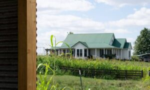 Rural home surrounded by open acreage where a perc test can help guide homesite planning