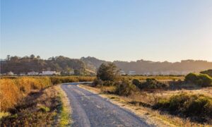 Gravel driveway through open farmland with surrounding terrain for topographic survey planning